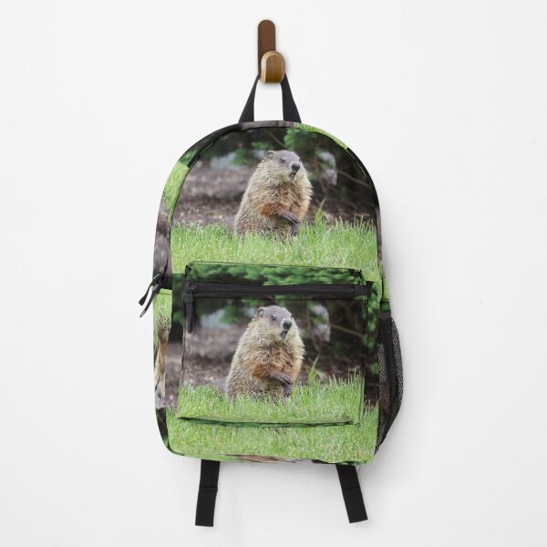Item preview, I don't believe it! designed and sold by LisaNaturePhoto.