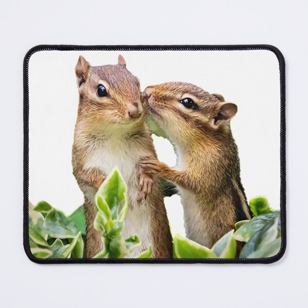Item preview, "Did you Hear?" designed and sold by Sandra Belitza-Vazquez.