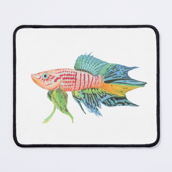 Item preview, Killifish designed and sold by SeaMonstress.