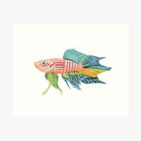 Item preview, Killifish designed and sold by SeaMonstress.