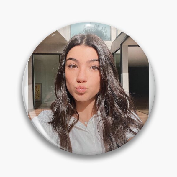 Item preview, Charli Damelio stickers  designed and sold by Shenise.
