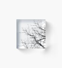 Tree Limbs 2 Black and White Acrylic Block