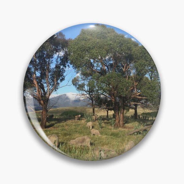 Item preview, Sheep and Tindery Ranges near Michelago N.S.W designed and sold by RogerRoy.