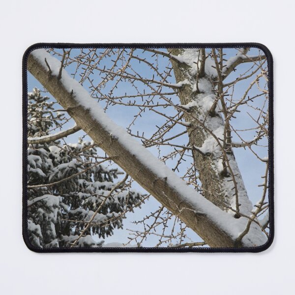 Item preview, Snow Covered Ginkgo Tree Branches and Evergreen with Blue Sky designed and sold by JariHawk.
