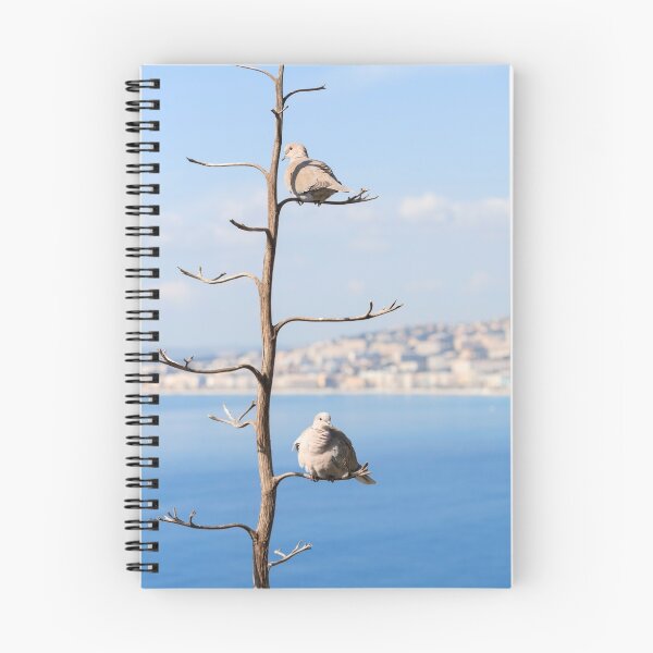Item preview, Eurasian Collared Dove designed and sold by ansaharju.