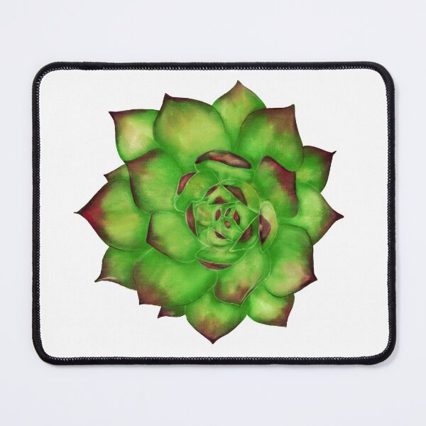Item preview, Echeveria agavoides Lipstick Succulent designed and sold by AmeyCamp.