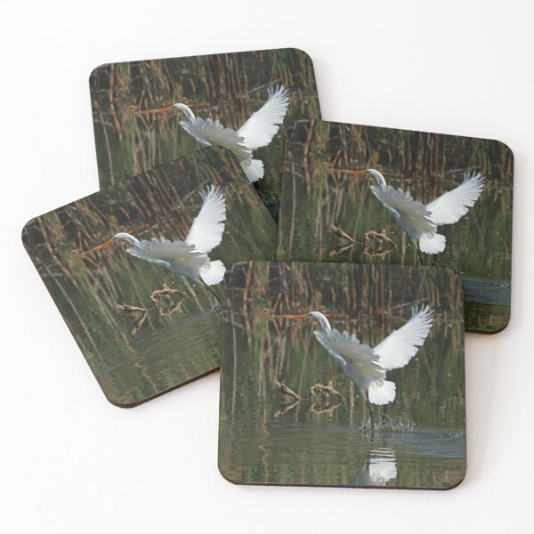 Item preview, Egret landing in a pond designed and sold by PaulKPhoto.