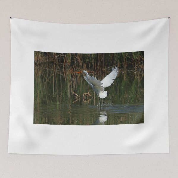 Item preview, Egret landing in a pond designed and sold by PaulKPhoto.