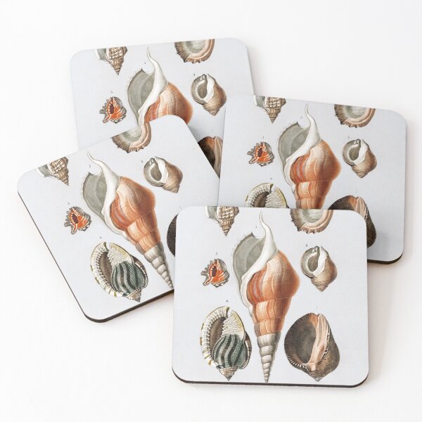 Item preview, Mollusks, Charles Dessalines designed and sold by dusie.