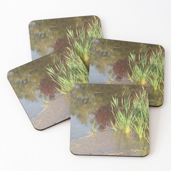 Item preview, Lake Water Side Reflection with Cattails designed and sold by JariHawk.