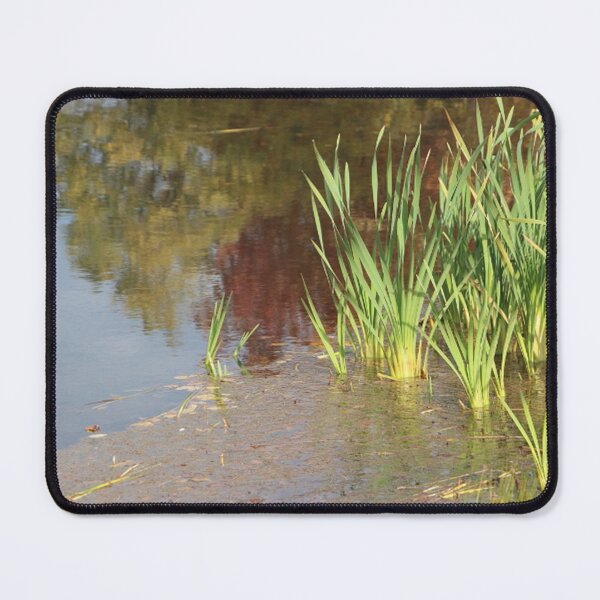 Item preview, Lake Water Side Reflection with Cattails designed and sold by JariHawk.