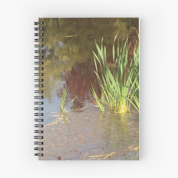Item preview, Lake Water Side Reflection with Cattails designed and sold by JariHawk.