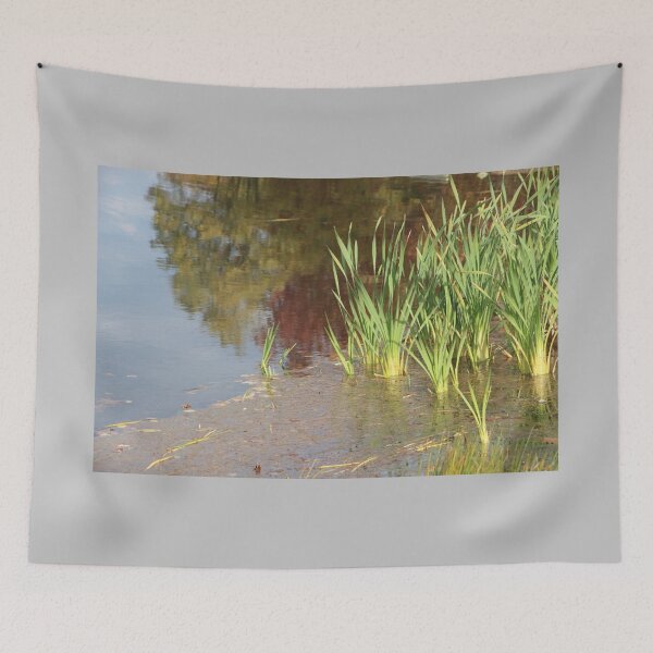 Item preview, Lake Water Side Reflection with Cattails designed and sold by JariHawk.