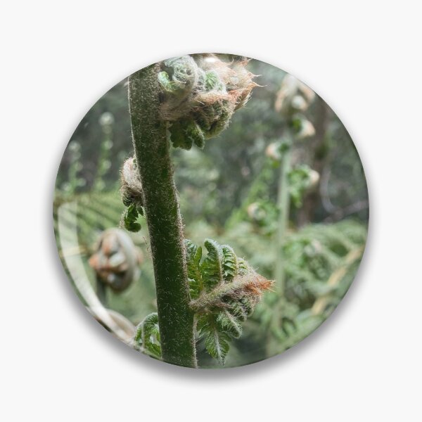Item preview, Unfurling in the Otways  designed and sold by rani.