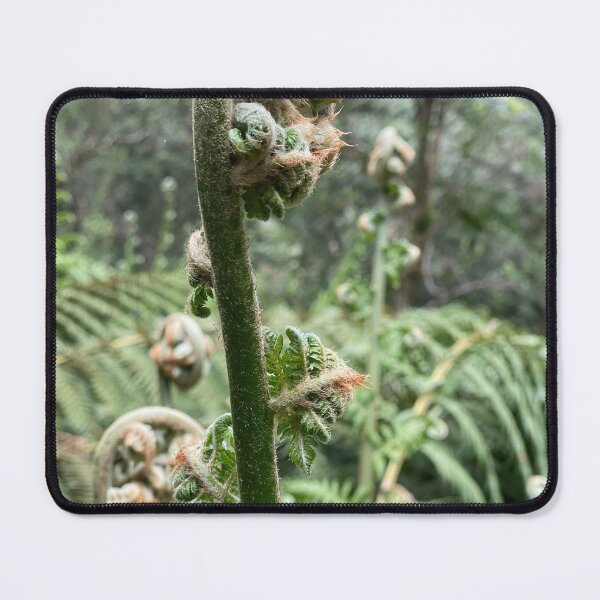 Item preview, Unfurling in the Otways  designed and sold by rani.