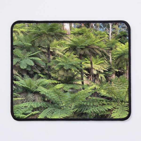 Item preview, Along the aqueduct in Warburton, Victoria designed and sold by rani.