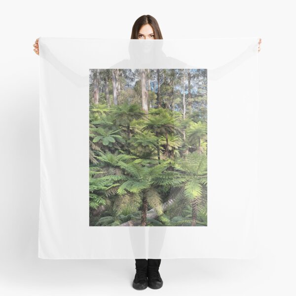 Item preview, Along the aqueduct in Warburton, Victoria   designed and sold by rani.