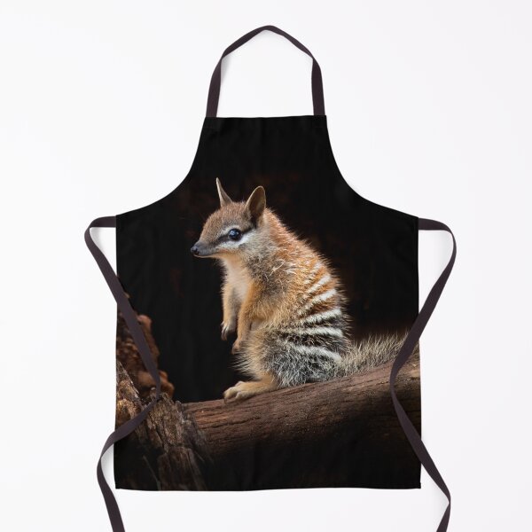 Item preview, Baby Numbat designed and sold by gwenthewren.