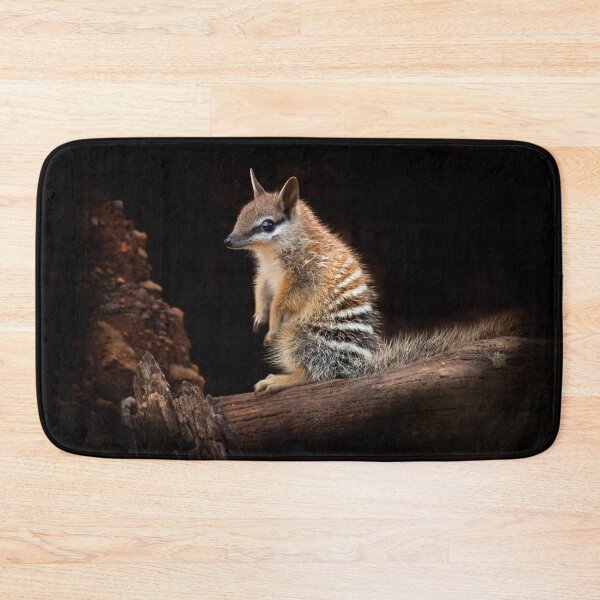 Item preview, Baby Numbat designed and sold by gwenthewren.