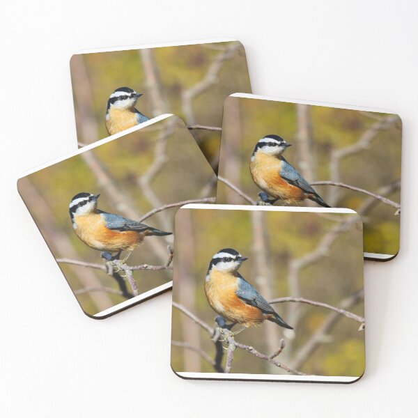 Item preview, Red-breasted nuthatch designed and sold by PhyllisG-Art.