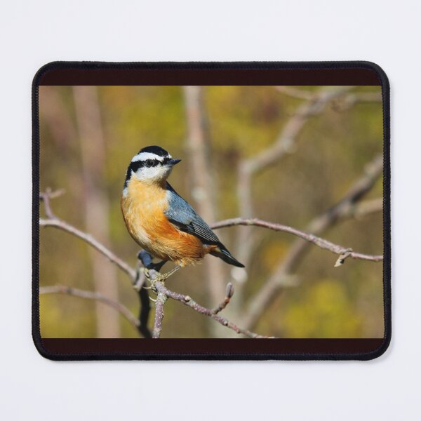 Item preview, Red-breasted nuthatch designed and sold by PhyllisG-Art.