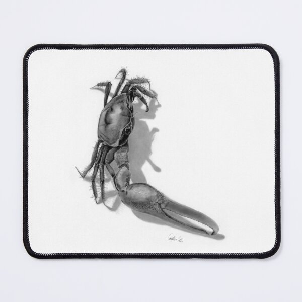 Item preview, Fiddler crab designed and sold by SeaMonstress.
