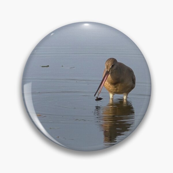 Item preview, Hudsonian Godwit designed and sold by PaulKPhoto.