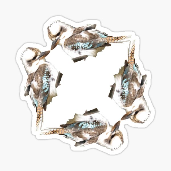 Kookaburra Sticker