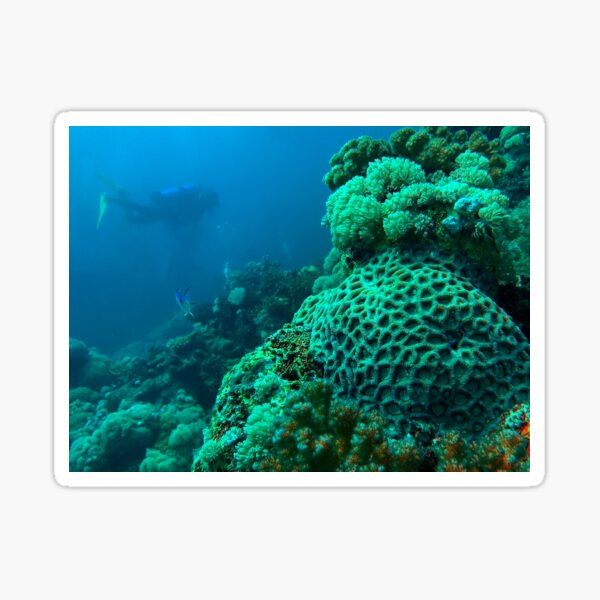 Scuba Diving in the Red Sea Sticker