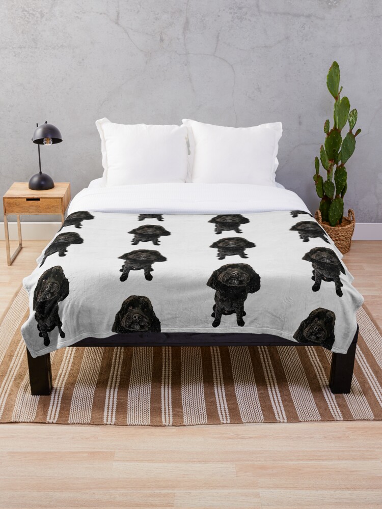 Cockapoo Cavapoo Black Puppy Dog