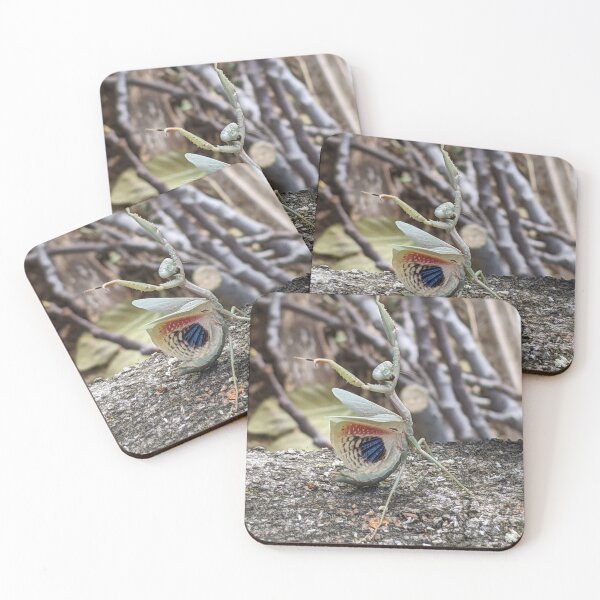 Item preview, Splaying Mantis designed and sold by aeolia.