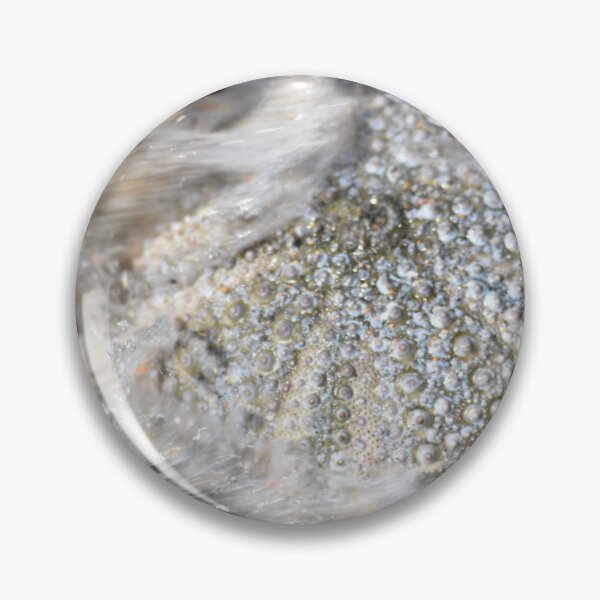 Item preview, Abstract Sea Urchin at Bateau Bay Beach NSW Central Coast of Australia designed and sold by suziq1962.