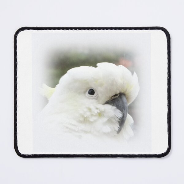 Item preview, The Philosopher designed and sold by scholara.