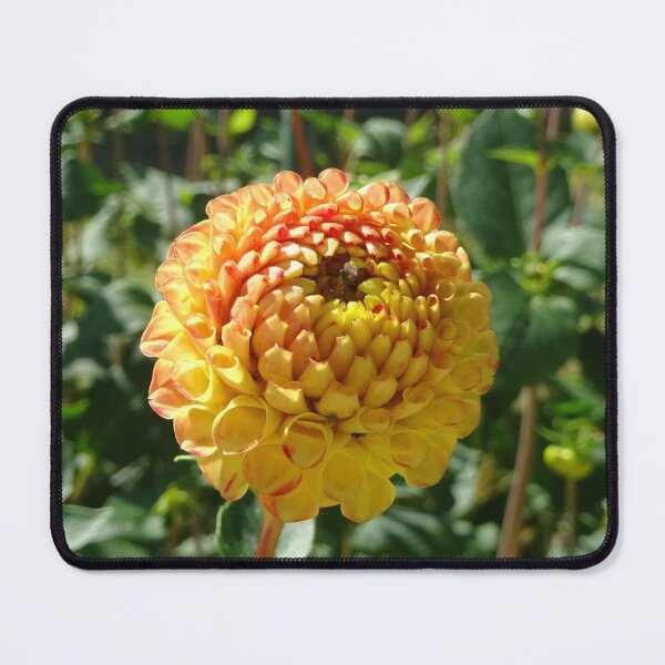 Item preview, Flower Sphere designed and sold by scholara.