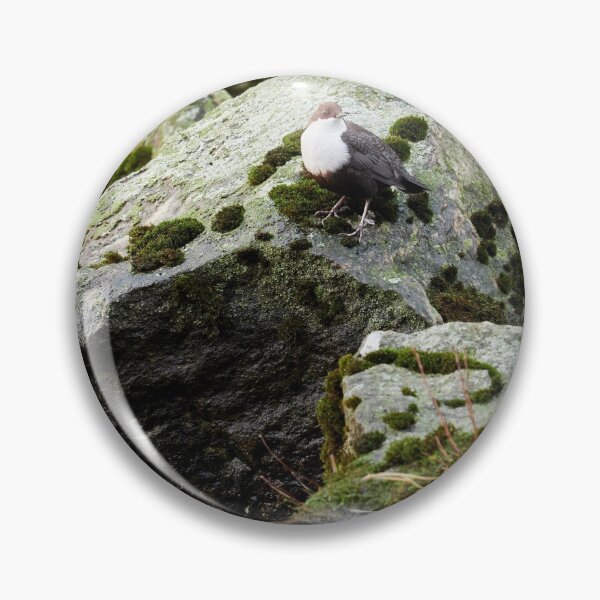 Item preview, The Flow. White-throated dipper designed and sold by Jouko Lehto Photography.