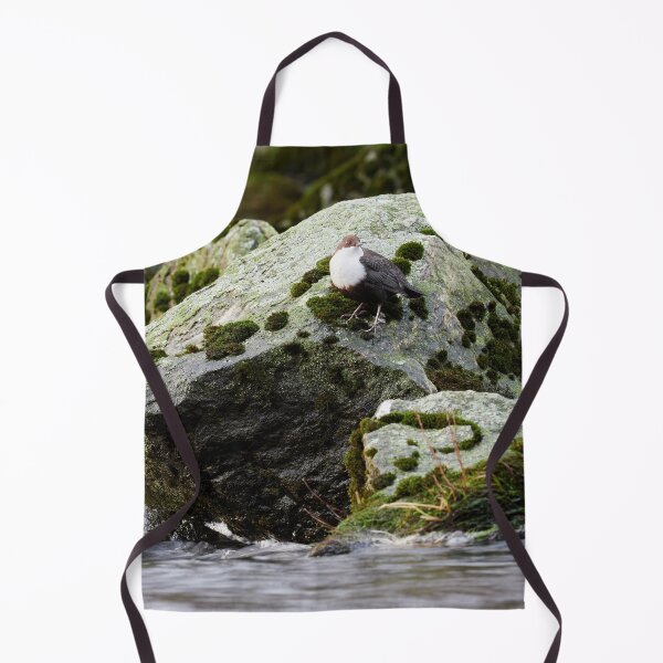 Item preview, The Flow. White-throated dipper designed and sold by Jouko Lehto Photography.