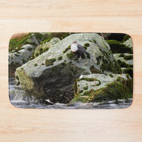 Item preview, The Flow. White-throated dipper designed and sold by Jouko Lehto Photography.