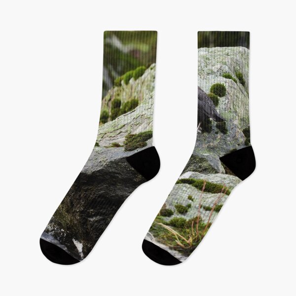 Item preview, The Flow. White-throated dipper designed and sold by Jouko Lehto Photography.