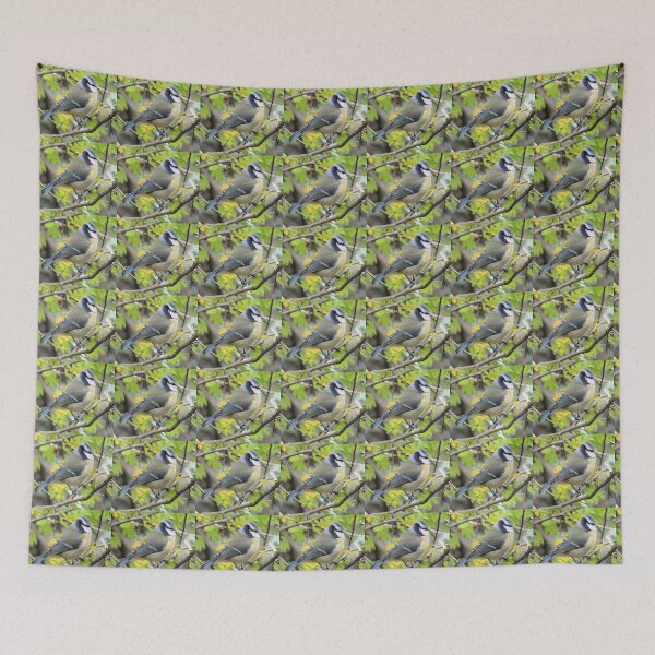 Item preview, blue tit designed and sold by KathleenDawson.