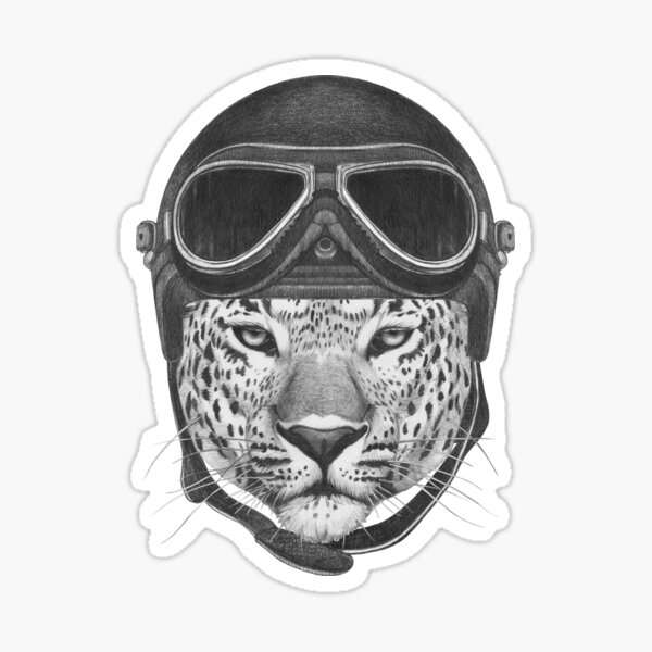 Portrait of Leopard in Vintage Helmet. Sticker