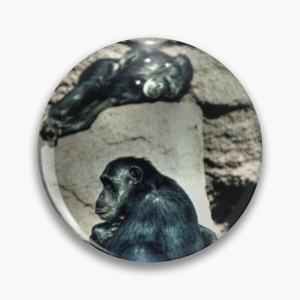 Item preview, Crouching Monkey designed and sold by Blackadder Photography.