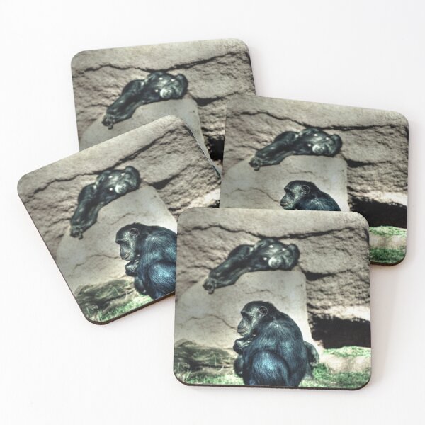 Item preview, Crouching Monkey designed and sold by Blackadder Photography.