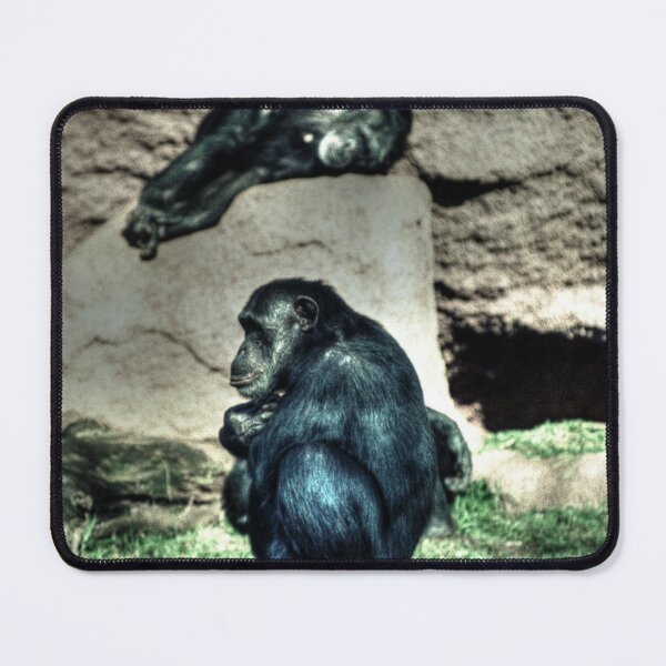 Item preview, Crouching Monkey designed and sold by Blackadder Photography.