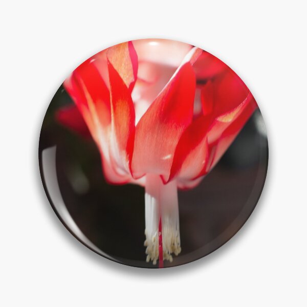 Item preview, Christmas Cactus 1 designed and sold by Denice Breaux.