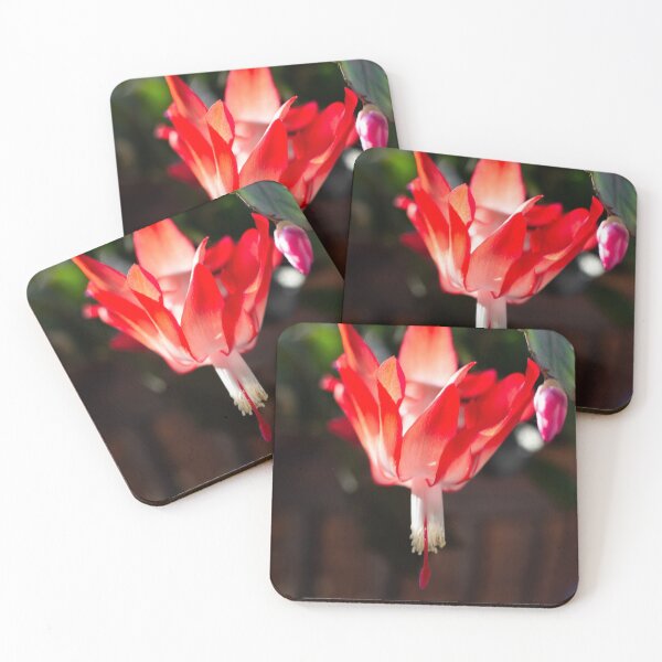 Item preview, Christmas Cactus 1 designed and sold by Denice Breaux.