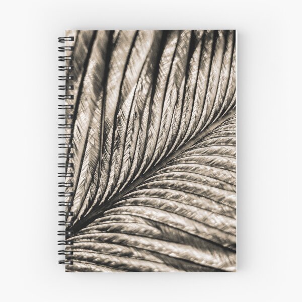 Item preview, Platinum Feather designed and sold by ImageEvolution.