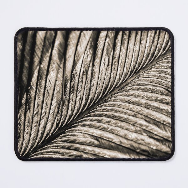 Item preview, Pluma de platino designed and sold by ImageEvolution.