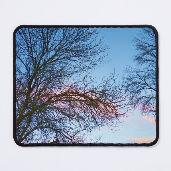 Item preview, Photo of Leafless Branches Against Morning Sky designed and sold by Caryn Pinkston.