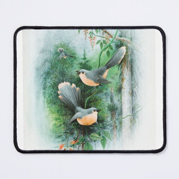Item preview, Bird penting designed and sold by Farha Khalid.