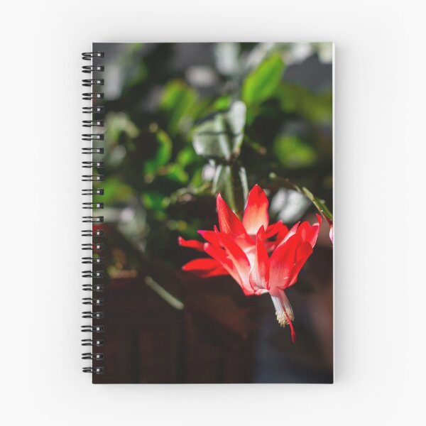 Item preview, Christmas Cactus in Bloom designed and sold by Denice Breaux.